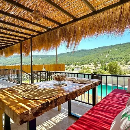 Kocaarmut 1 * קס