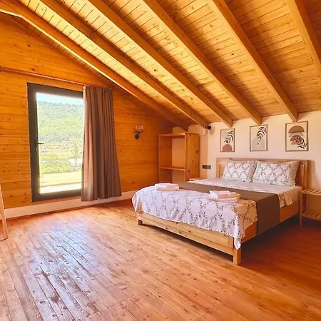 Kocaarmut 1 * קס